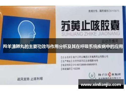 羚羊清肺丸的主要功效与作用分析及其在呼吸系统疾病中的应用