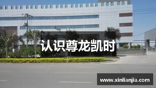认识尊龙凯时
